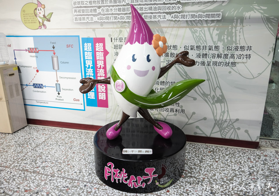 IG打卡景點》嘉義月桃故事館│愛心拱橋、彩虹階梯、DIY手作體驗等你來玩