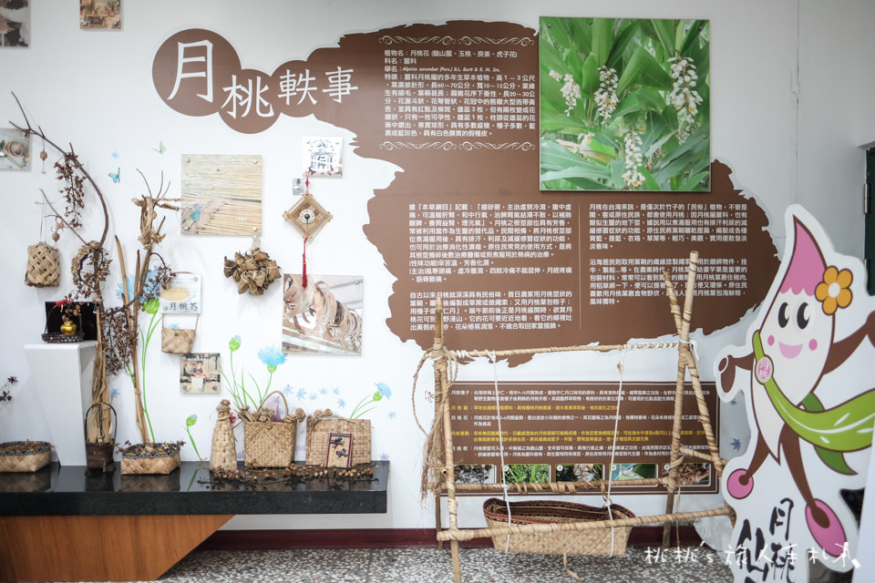 IG打卡景點》嘉義月桃故事館│愛心拱橋、彩虹階梯、DIY手作體驗等你來玩