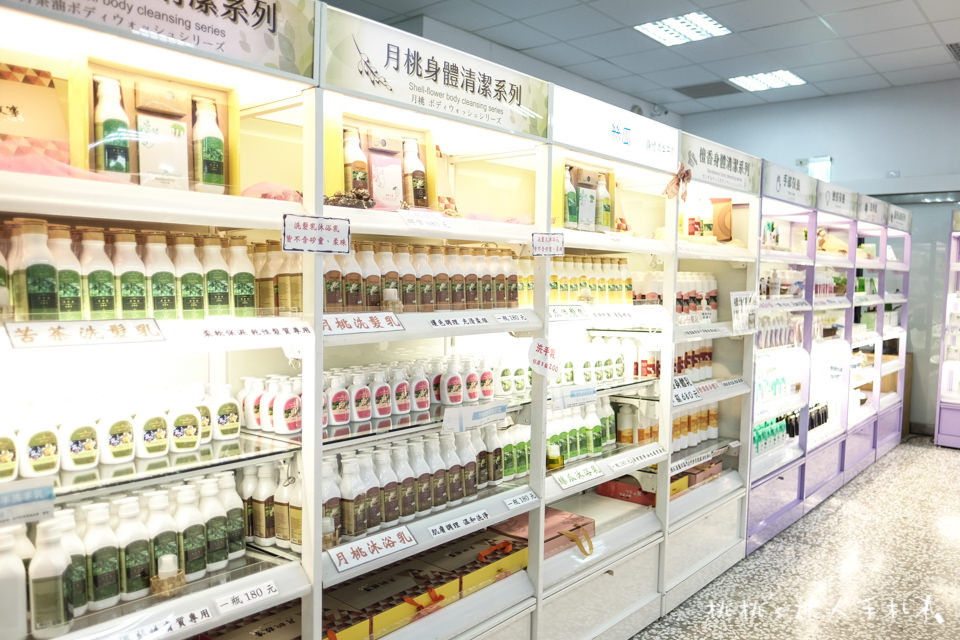 IG打卡景點》嘉義月桃故事館│愛心拱橋、彩虹階梯、DIY手作體驗等你來玩