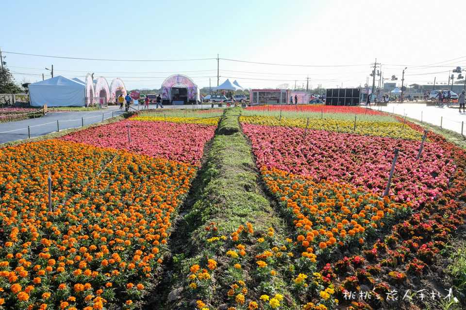 2018桃園彩色海芋季│10大拍照亮點裝置藝術 你都打卡了嗎？