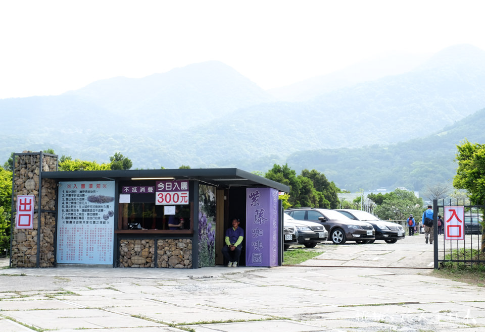 2018淡水紫藤咖啡園二店 水源園區│花況滿開 賞花正是時候！