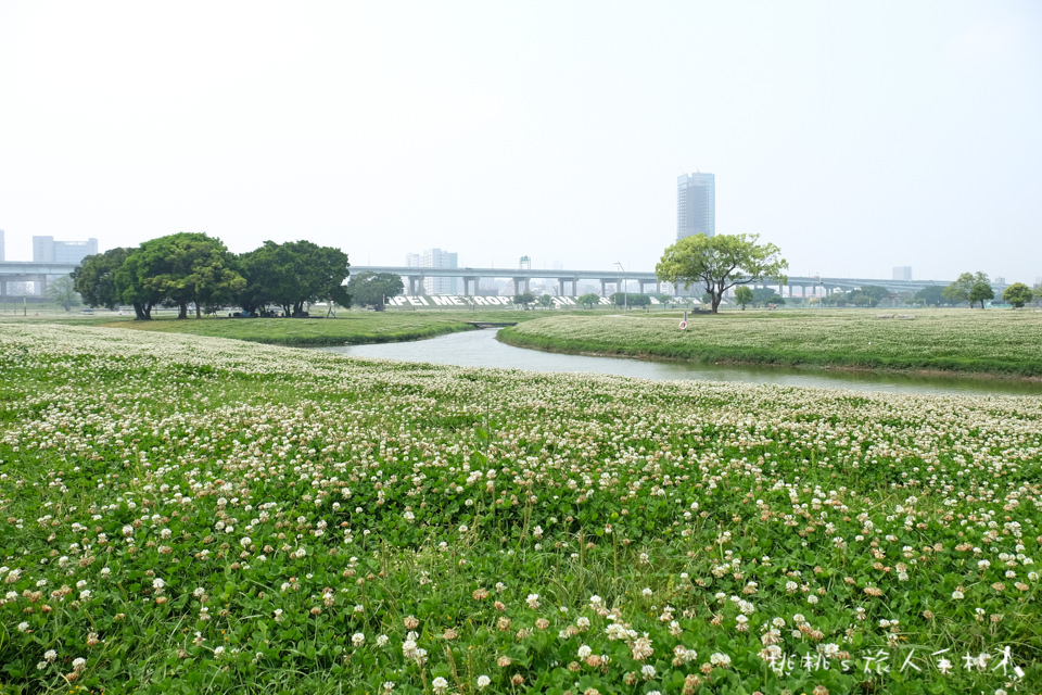 共融式遊戲場》幸運草地景溜滑梯│新北市三重大臺北都會公園