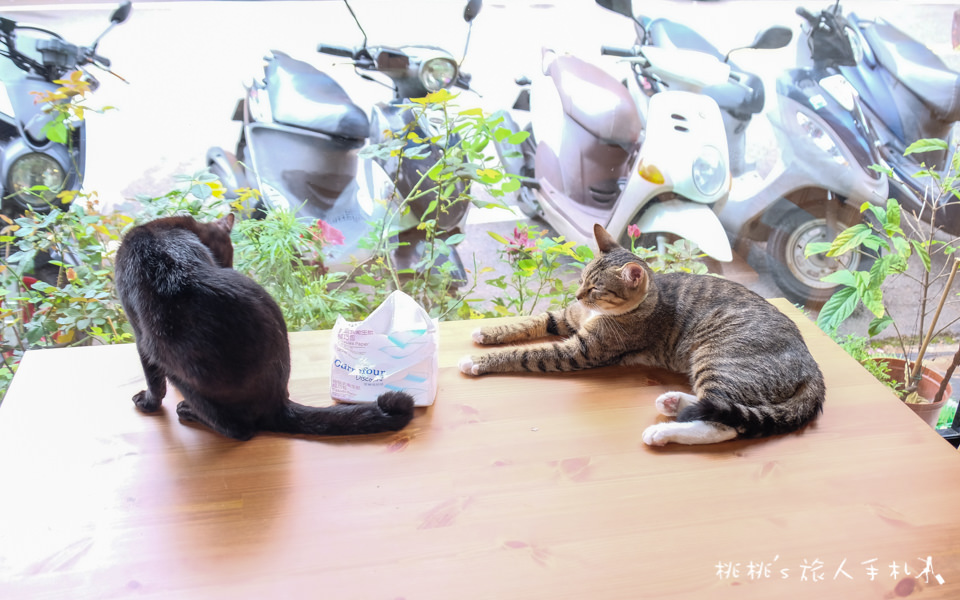 IG打卡餐廳》新竹花牆咖啡廳 荷芙亭│網美早午餐 下午茶 花漾登場！