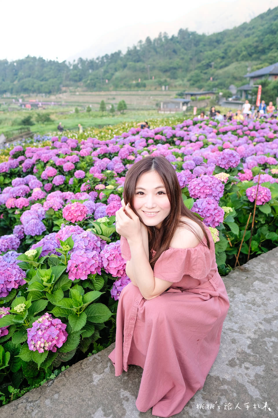 2018繡球花季》陽明山竹子湖 大賞園繡球花園│最新花況分享！