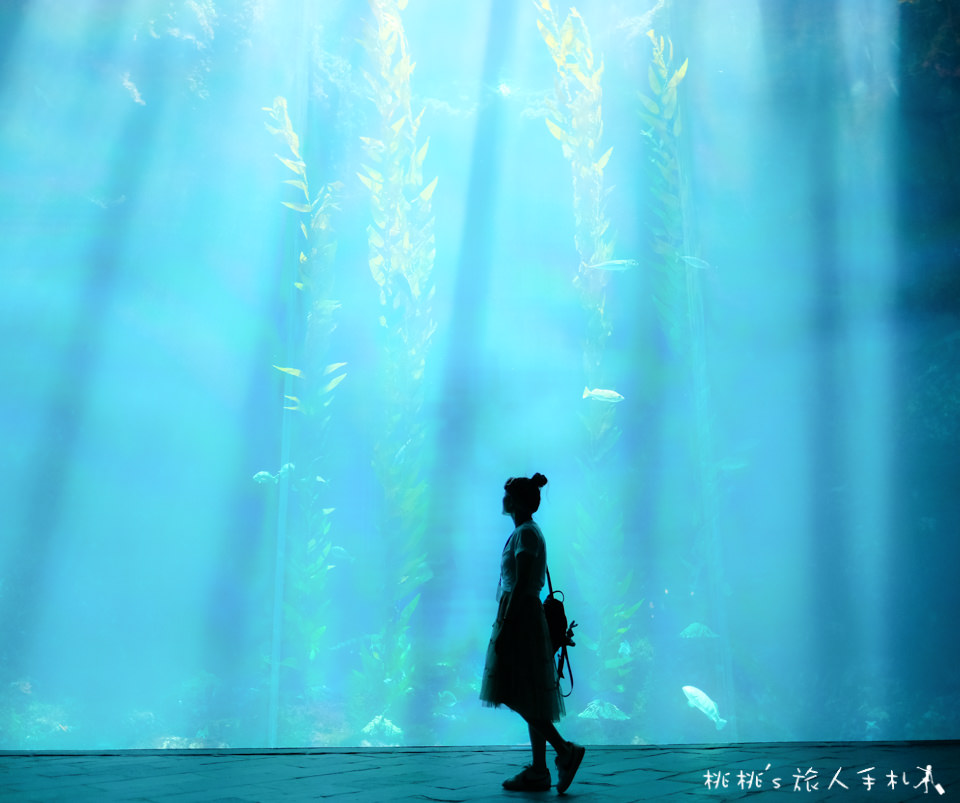 夜宿海生館》來去海底隧道住一晚│不一樣的墾丁兩天一夜行程！