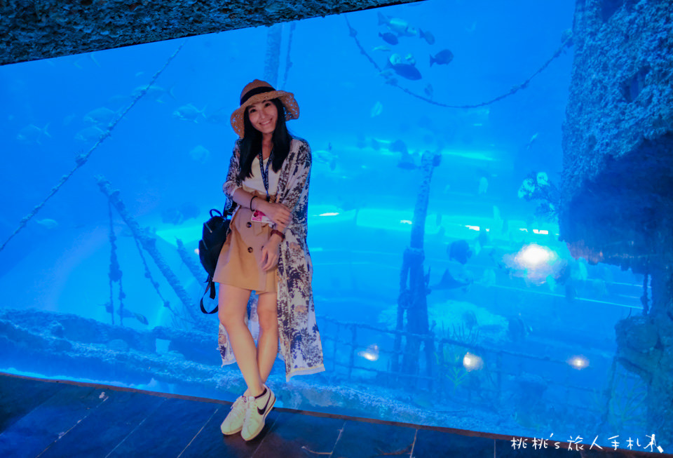 夜宿海生館》來去海底隧道住一晚│不一樣的墾丁兩天一夜行程！
