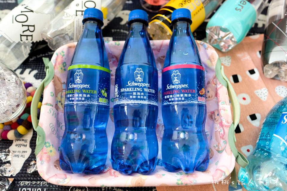 超商瓶裝氣泡水，5大品牌 13款不同口味│全方位評比推薦不踩雷！