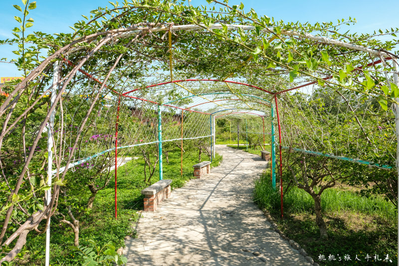 桃園打卡景點》台灣地景花園│網美.情侶.親子 免費入園大家玩瘋了！