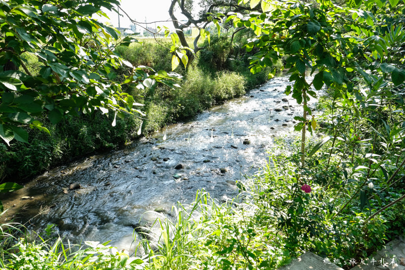 桃園打卡景點》台灣地景花園│網美.情侶.親子 免費入園大家玩瘋了！