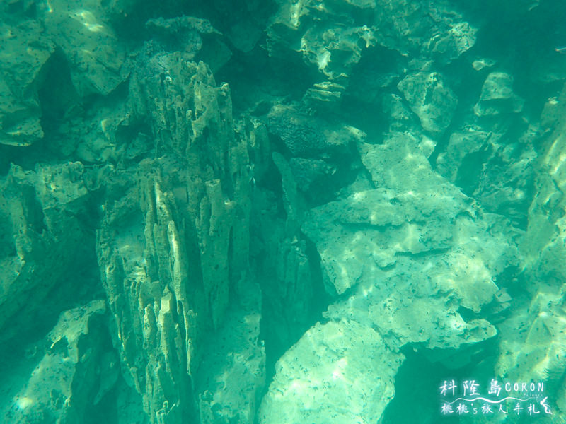 菲律賓科隆島》巴拉望海島度假行程規劃│飯店住宿.潛水浮淺.景點美食
