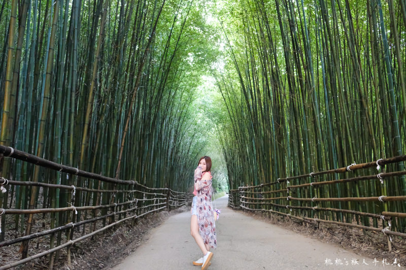 苗栗打卡景點》泰安竹林秘境 烏嘎彥竹林│穿過竹林隧道 拍出你的風格