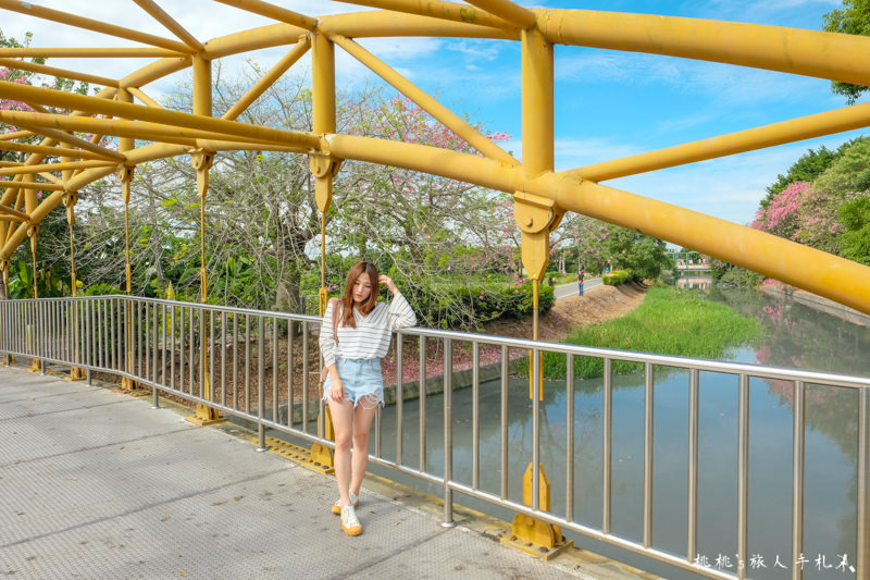 彰化打卡景點》北斗河濱公園 唯美天璇橋│美人樹花期限定浪漫景緻