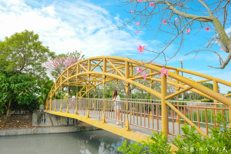 彰化打卡景點》北斗河濱公園 唯美天璇橋│美人樹花期限定浪漫景緻