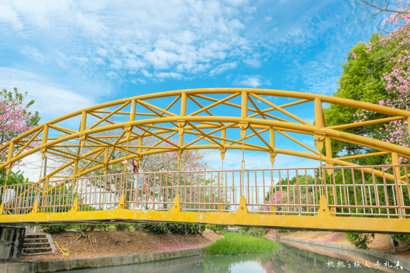 彰化打卡景點》北斗河濱公園 唯美天璇橋│美人樹花期限定浪漫景緻