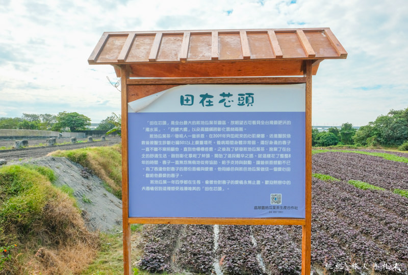 彰化打卡景點》田在芯頭 愛心彩繪田│一份永不止息的愛與感動