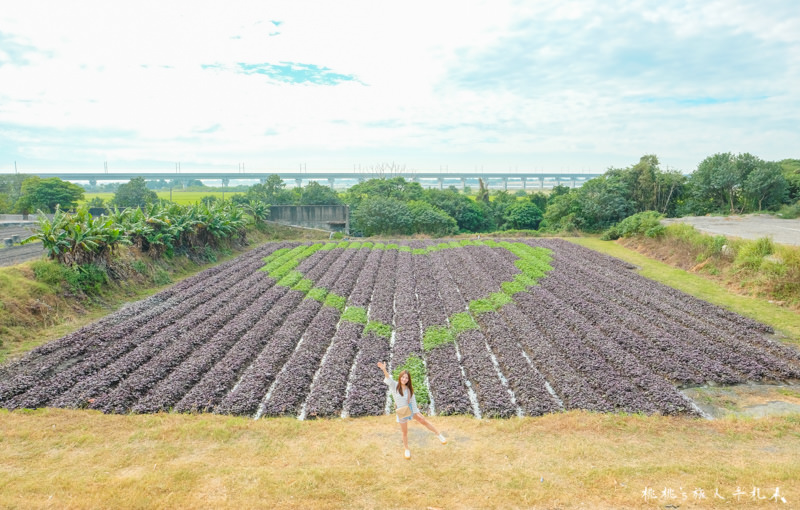 彰化打卡景點》田在芯頭 愛心彩繪田│一份永不止息的愛與感動