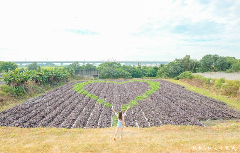 彰化打卡景點》田在芯頭 愛心彩繪田│一份永不止息的愛與感動