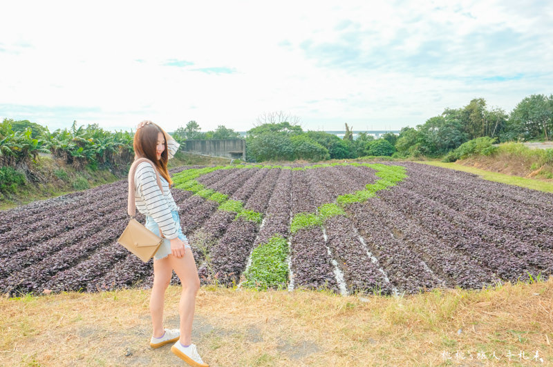 彰化打卡景點》田在芯頭 愛心彩繪田│一份永不止息的愛與感動