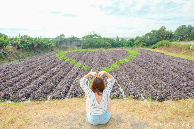 彰化打卡景點》田在芯頭 愛心彩繪田│一份永不止息的愛與感動