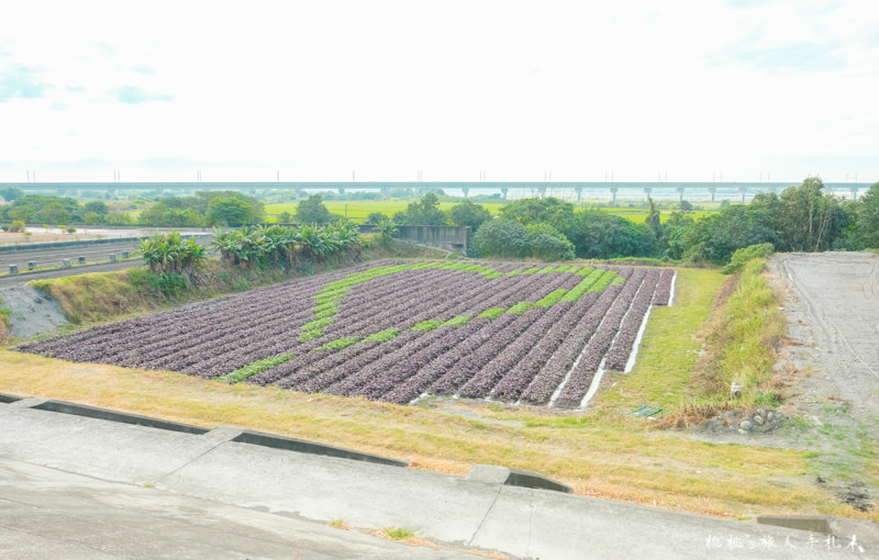 彰化打卡景點》田在芯頭 愛心彩繪田│一份永不止息的愛與感動