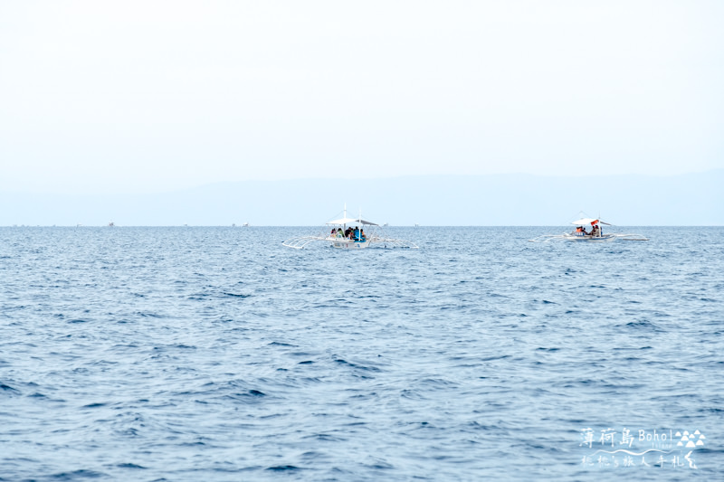 宿霧薄荷島》海上行程推薦│追海豚、巴里卡薩島大斷層浮潛