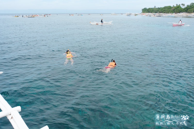 宿霧薄荷島》海上行程推薦│追海豚、巴里卡薩島大斷層浮潛