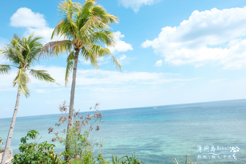 薄荷島美食》眼鏡猴海景餐廳＆蜜蜂農場Alona Beach 強力推薦