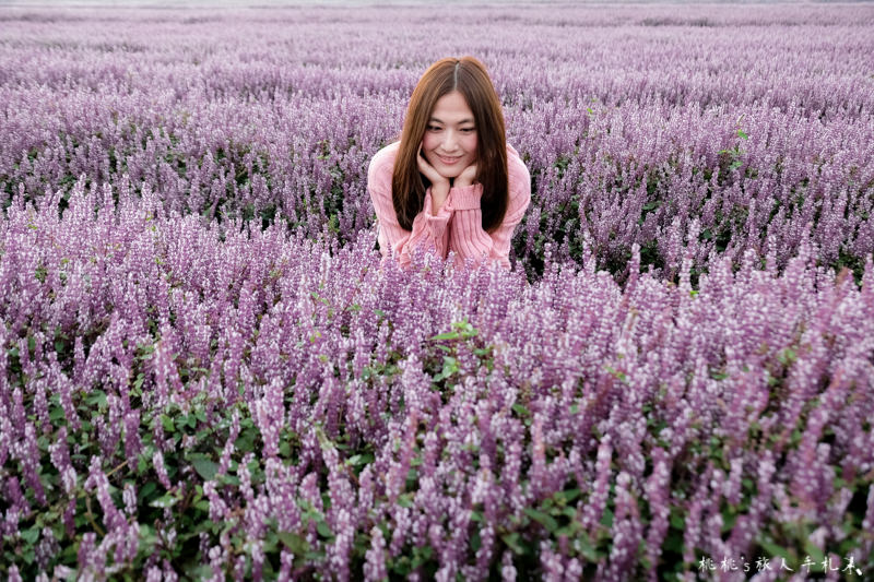 2018桃園花彩節》必看3大展區花海推薦:楊梅.平鎮.蘆竹│景點地址拍照攻略