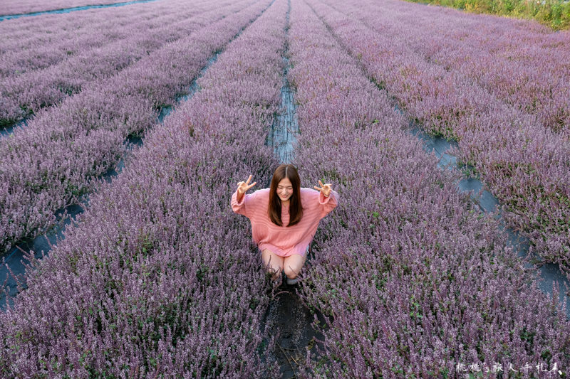 2018桃園花彩節》必看3大展區花海推薦:楊梅.平鎮.蘆竹│景點地址拍照攻略