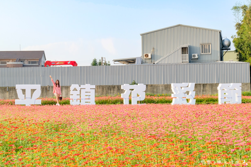 2018桃園花彩節》必看3大展區花海推薦:楊梅.平鎮.蘆竹│景點地址拍照攻略