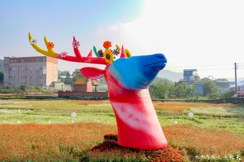 2018桃園花彩節》必看3大展區花海推薦:楊梅.平鎮.蘆竹│景點地址拍照攻略