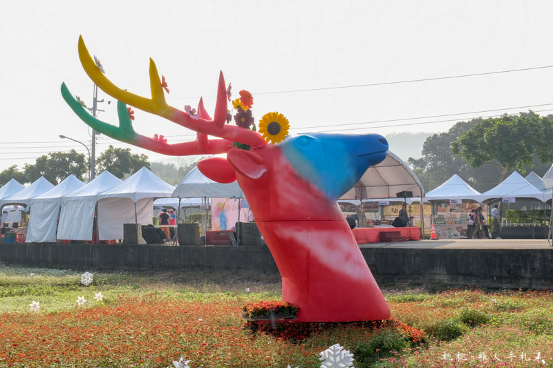 2018桃園花彩節》必看3大展區花海推薦:楊梅.平鎮.蘆竹│景點地址拍照攻略