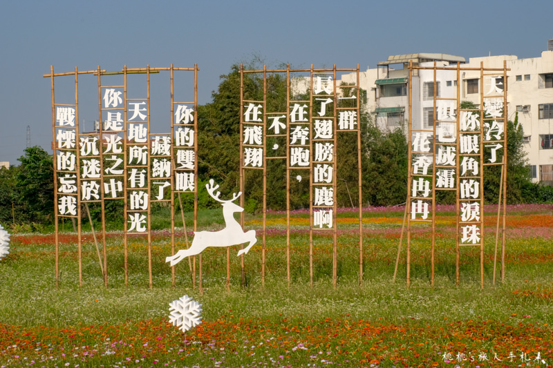2018桃園花彩節》必看3大展區花海推薦:楊梅.平鎮.蘆竹│景點地址拍照攻略