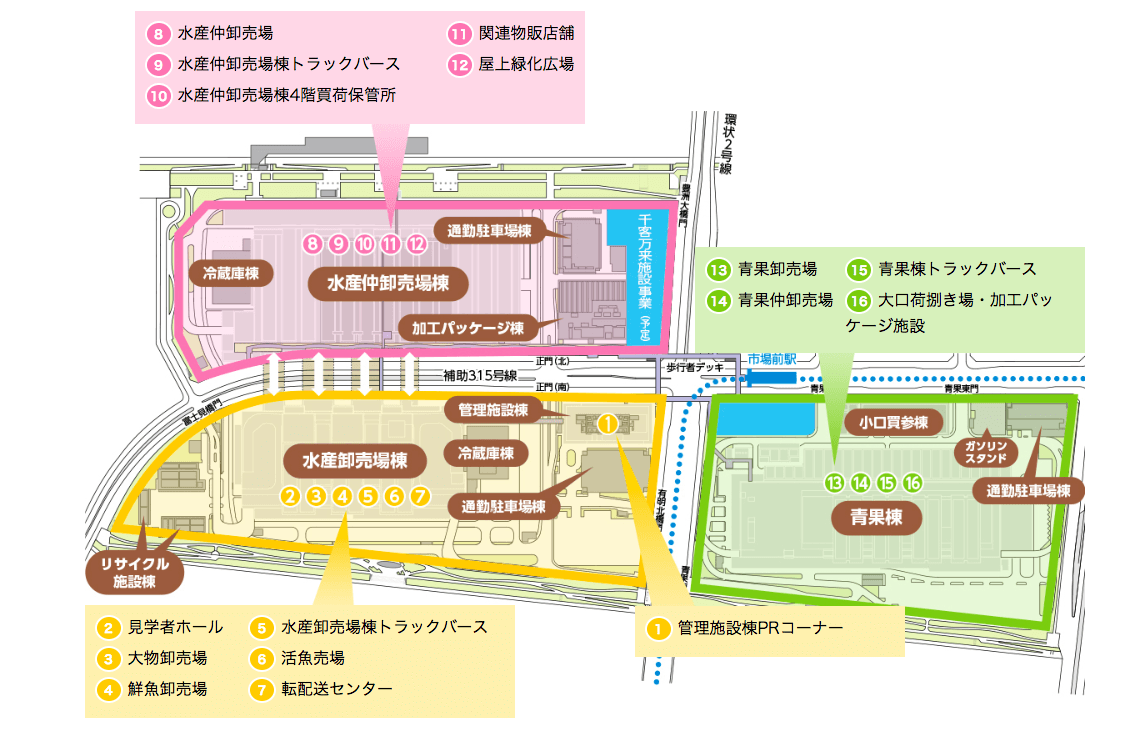 東京美食》豐洲市場攻略│美食推薦、休市日、交通地鐵、餐廳樓層介紹