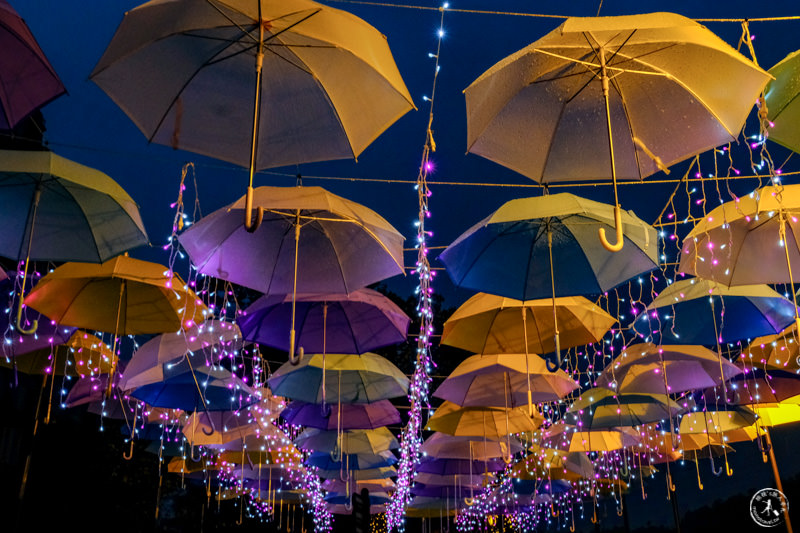 2019碧潭水舞光影秀│下雨也不怕的拍攝地點推薦！