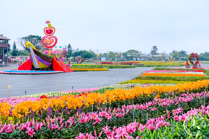 2019桃園彩色海芋季│交管停車接駁資訊 拍照亮點推薦！