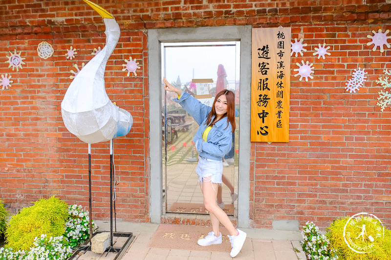 2019桃園彩色海芋季│交管停車接駁資訊 拍照亮點推薦！