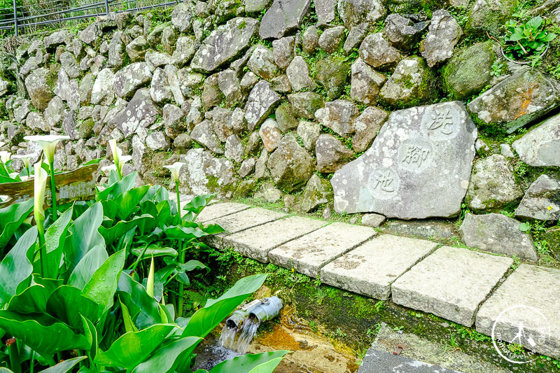 陽明山竹子湖海芋季│名陽匍休閒農莊 特色花海地景推薦