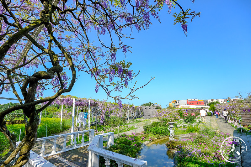 淡水紫藤咖啡園一店屯山園區│花況.交通.門票.營業時間