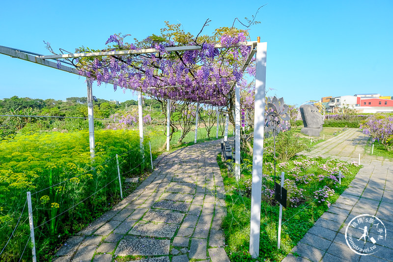 淡水紫藤咖啡園一店屯山園區│花況.交通.門票.營業時間