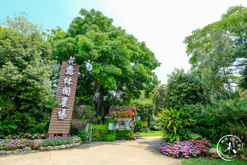 苗栗卓蘭景點》花露休閒農場－波波草花園登場│繡球花.薰衣草.森系景觀餐廳推薦