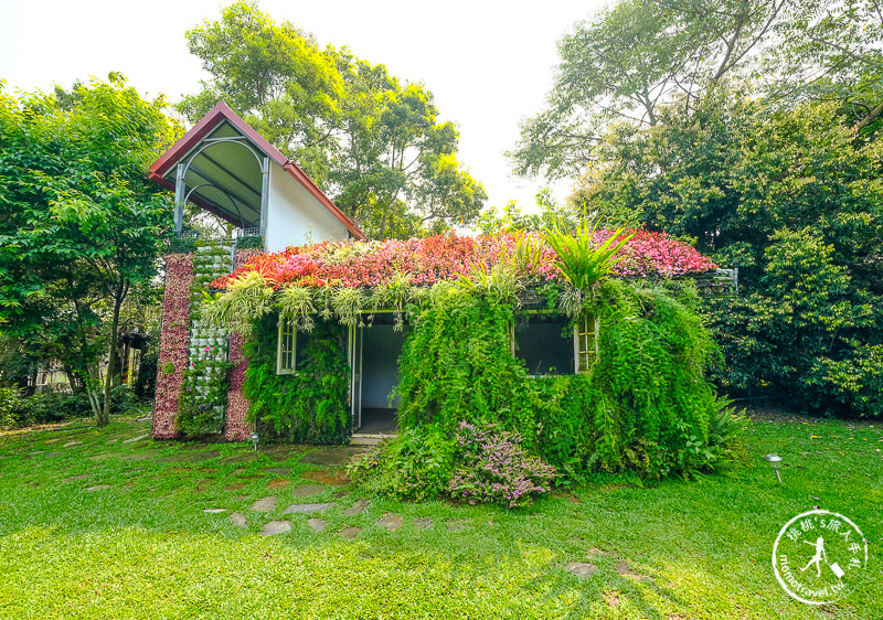 苗栗卓蘭景點》花露休閒農場－波波草花園登場│繡球花.薰衣草.森系景觀餐廳推薦