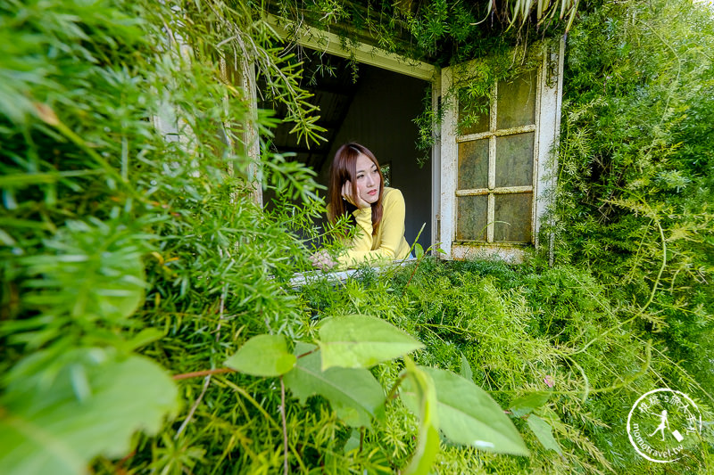 苗栗卓蘭景點》花露休閒農場－波波草花園登場│繡球花.薰衣草.森系景觀餐廳推薦