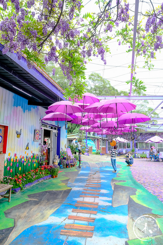 苗栗景點》噢哈娜咖啡屋│紫藤花海、園區拍照點推薦