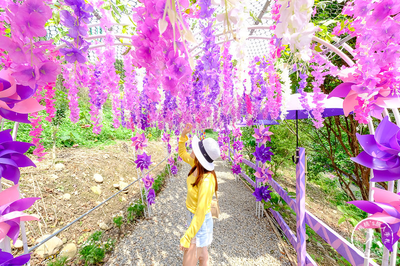 苗栗景點》噢哈娜咖啡屋│紫藤花海、園區拍照點推薦