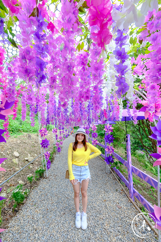 苗栗景點》噢哈娜咖啡屋│紫藤花海、園區拍照點推薦