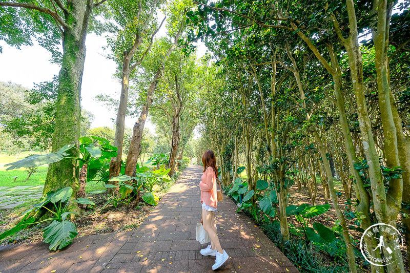 台北景點》陽明山花卉試驗中心│紫藤花私房小景點