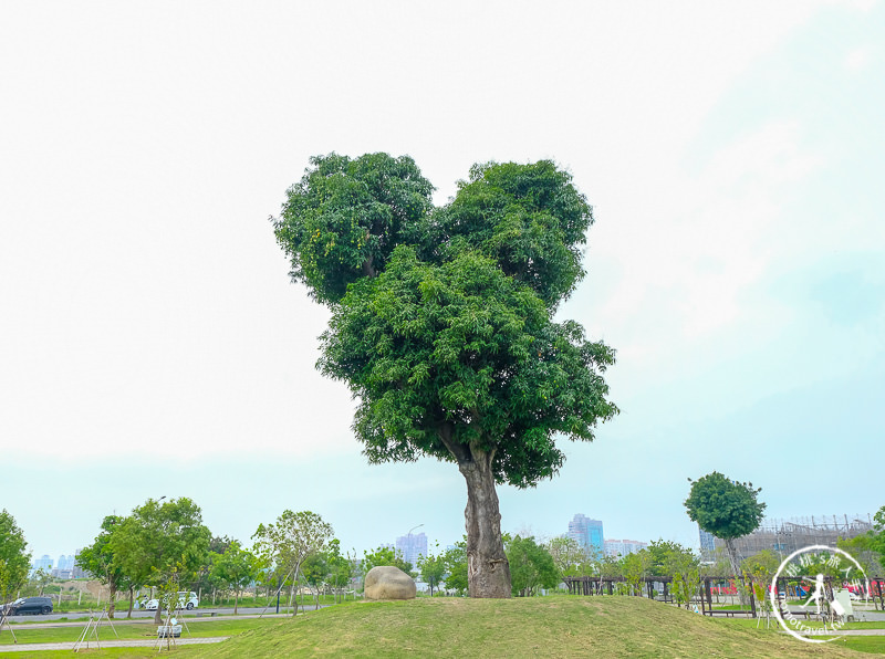 台中景點》台中米奇樹│萬坪公園也有迪士尼大明星