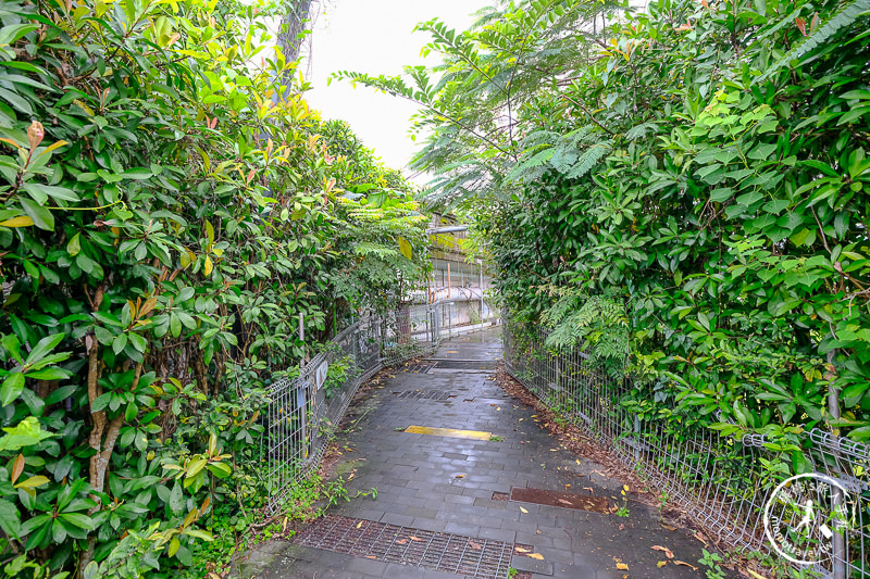 宜蘭景點》慶和橋津梅棧道│被遺忘的天空步道