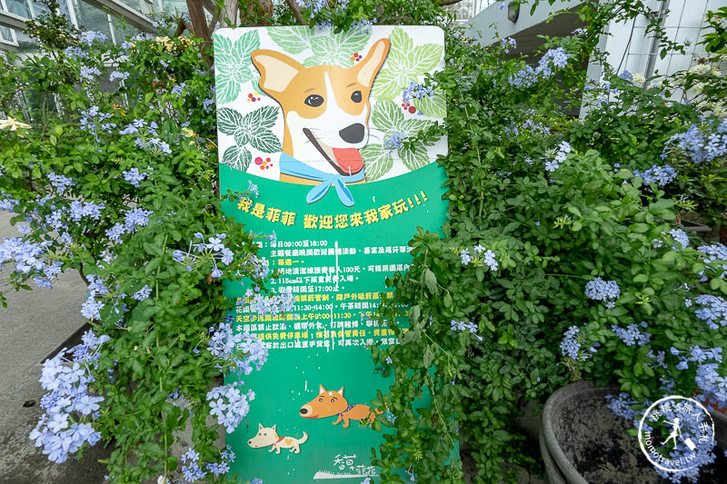 宜蘭景點》香草菲菲芳香植物博物館│天空花園步道這樣拍